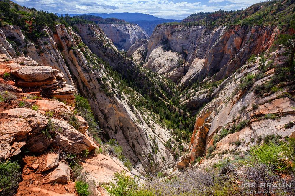 Canyon view in Zion National Park